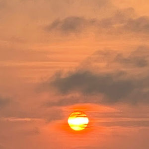 Meet your Posher, Fredy